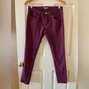 Romeo & Juliet Couture Jeans • Womans 27